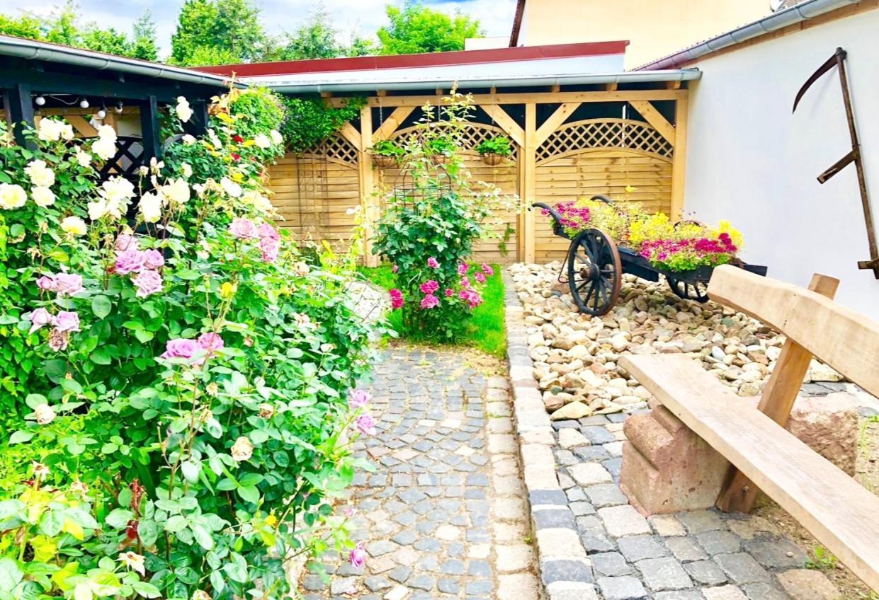 Ferienwohnungen Grimma Exterior foto
